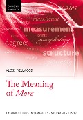 Cover-Bild zum Titel 'The Meaning of More' von 'Alexis Wellwood'