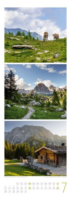 InsideView 7