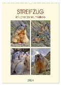 STREIFZUG im Land der Murmeltiere (Wandkalender 2024 DIN A3 hoch), CALVENDO Monatskalender - Susan Michel