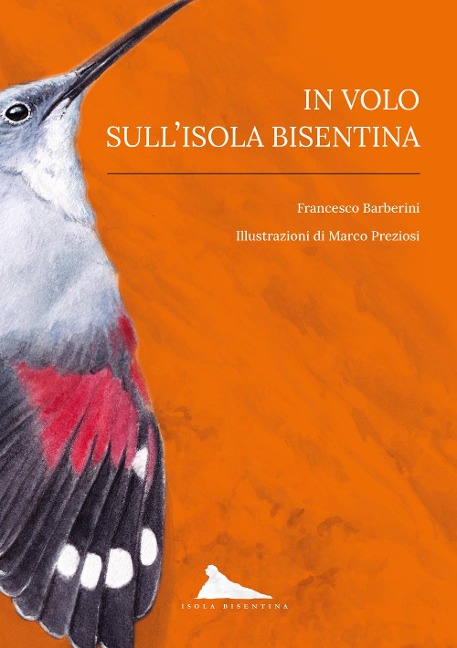 In volo sull'isola Bisentina - Francesco Barberini