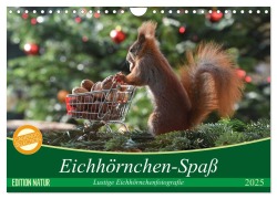 Eichhörnchen-Spaß (Wandkalender 2025 DIN A4 quer), CALVENDO Monatskalender - Heike Adam