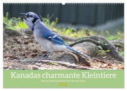 Cover-Bild zum Titel 'Kanadas charmante Kleintiere - Bezaubernde Einblicke in die Natur (Wandkalender 2026 DIN A2 quer), CALVENDO Monatskalender' von 'Claudia Pilon'