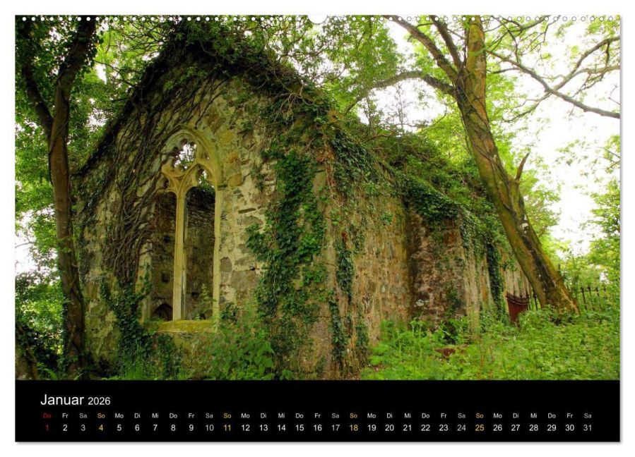 InsideView 6