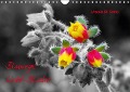 Blumige Licht-Blicke (Wandkalender immerwährend DIN A4 quer) - Ursula Di Chito