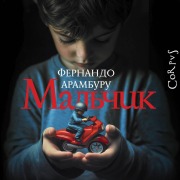 Cover-Bild zum Titel 'Mal'chik' von 'Fernando Aramburu'