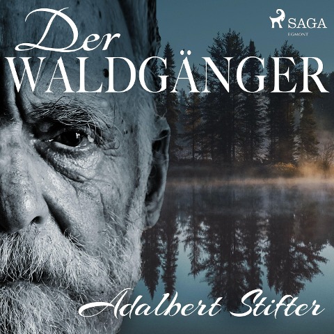 Der Waldgänger - Adalbert Stifter