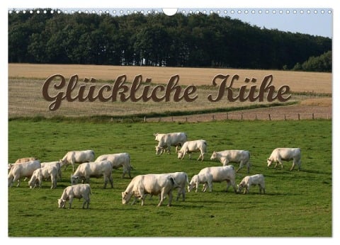 Glückliche Kühe (Wandkalender 2024 DIN A3 quer), CALVENDO Monatskalender - Antje Lindert-Rottke