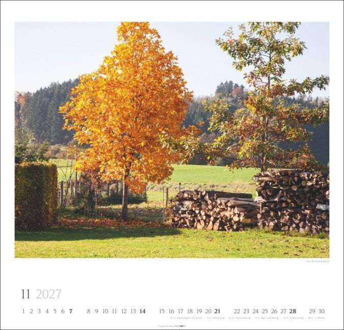 InsideView 11