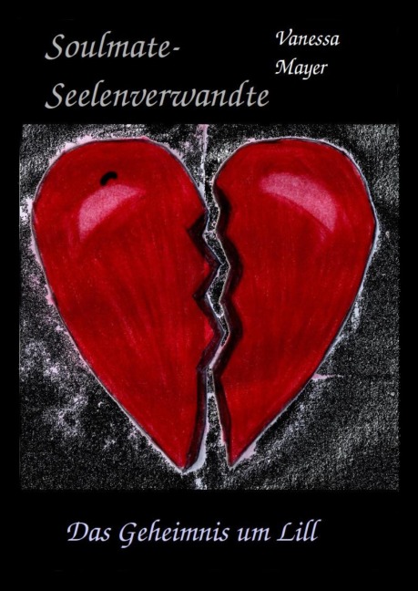 Soulmate- Seelenverwandte - Vanessa Mayer