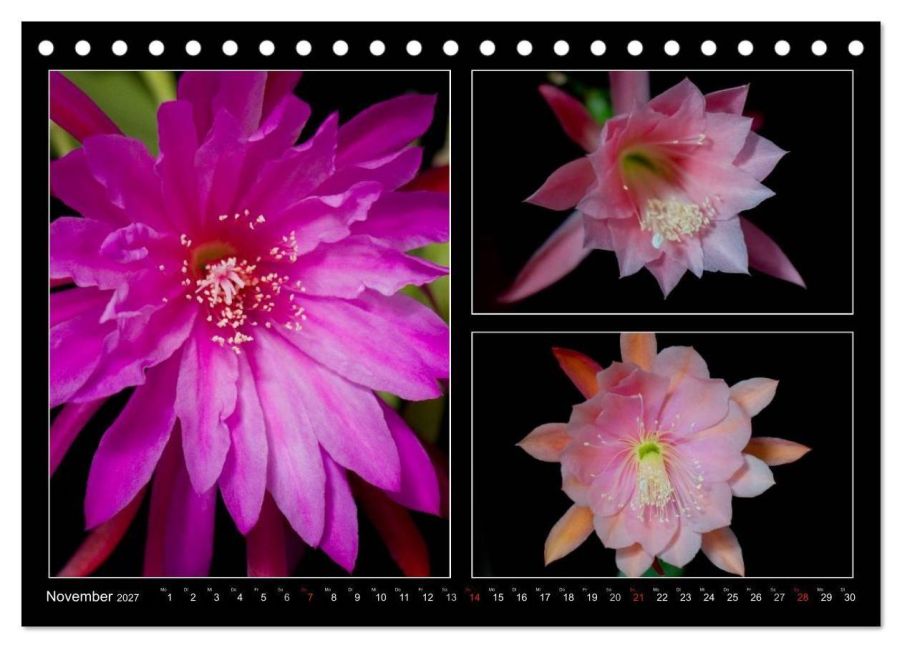 InsideView 3