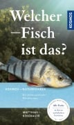Cover-Bild zum Titel 'Welcher Fisch ist das?' von 'Matthias Bergbauer'