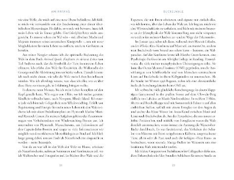 InsideView 8