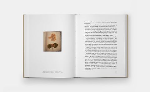 InsideView 8