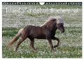 Islandpferdehof Buchenthal (Wandkalender 2024 DIN A4 quer), CALVENDO Monatskalender - Franziska Ascher