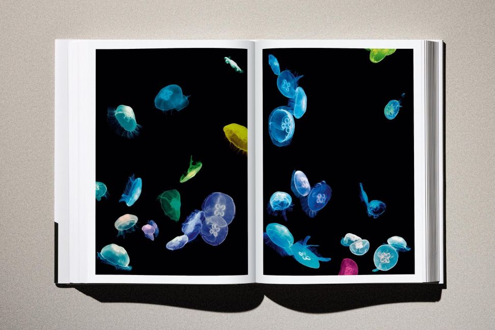InsideView 17