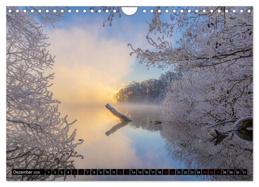 InsideView 4