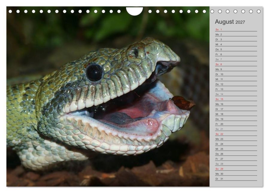 InsideView 13