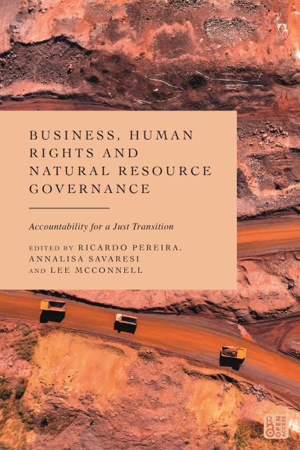 Business, Human Rights and Natural Resource Governance - 