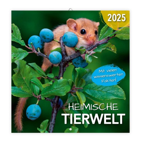 Trötsch Broschürenkalender Heimische Tierwelt 2025 - 