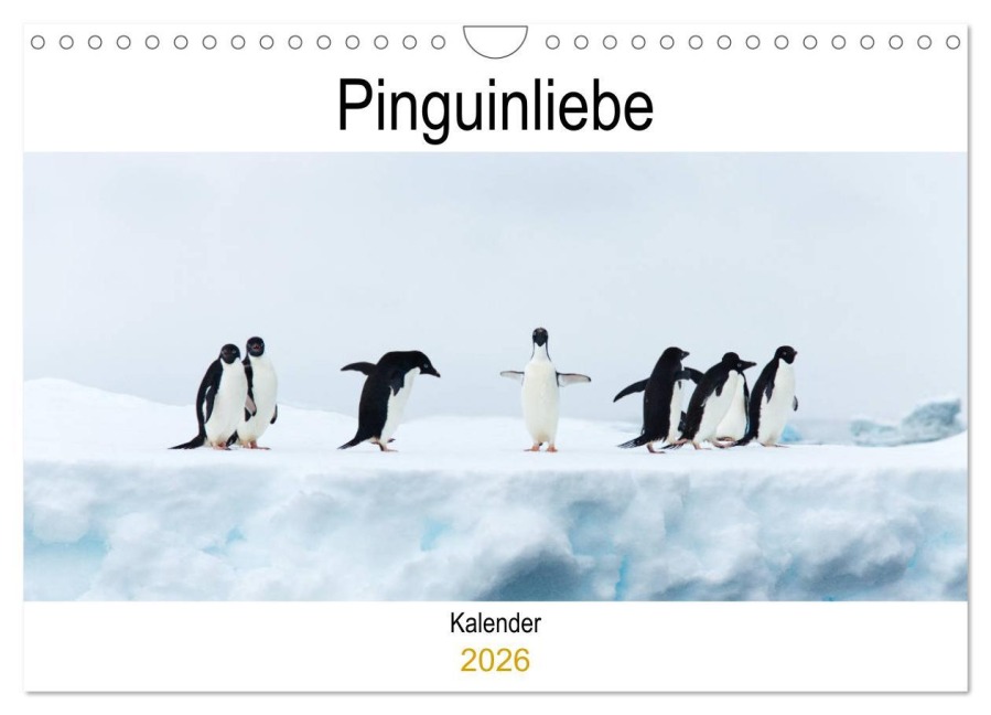 Pinguinliebe (Wandkalender 2026 DIN A4 quer), CALVENDO Monatskalender - Same Same