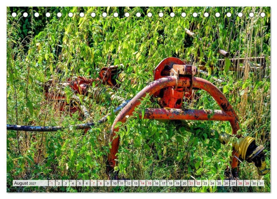 InsideView 13