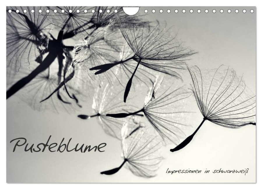 Pusteblume - Impressionen in schwarzweiß (Wandkalender 2026 DIN A4 quer), CALVENDO Monatskalender - Julia Delgado