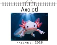 Cover-Bild zum Titel 'Axolotl' von 'Sofia Maier'