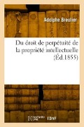 Cover-Bild zum Titel 'Du Droit de Perpétuité de la Propriété Intellectuelle' von 'Adolphe Breulier'