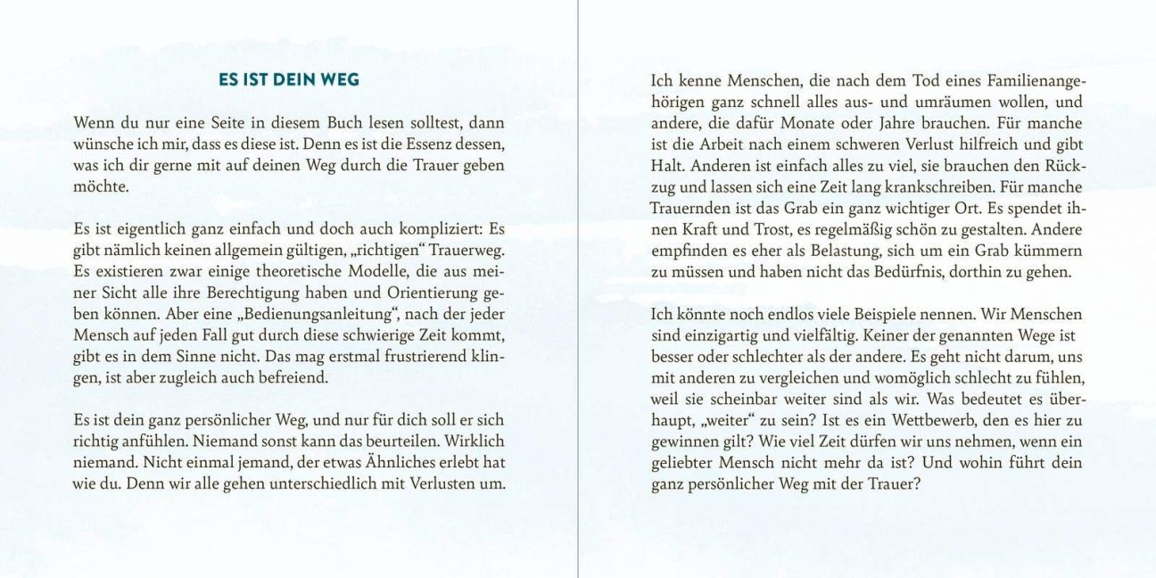 InsideView 2