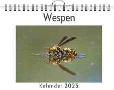 Cover-Bild zum Titel 'Wespen' von 'Tim Klein'