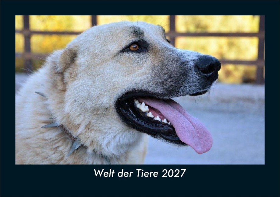 Welt der Tiere 2027 Fotokalender DIN A5 - Tobias Schmitt, Kevin Heber