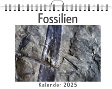 Cover-Bild zum Titel 'Fossilien - (Wandkalender 2025, Kalender DIN A4 quer, Monatskalender im Querformat mit Kalendarium, das perfekte Geschenk)' von 'Noah Schubert'