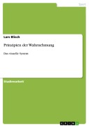 Cover-Bild zum Titel 'Prinzipien der Wahrnehmung' von 'Lars Blisch'