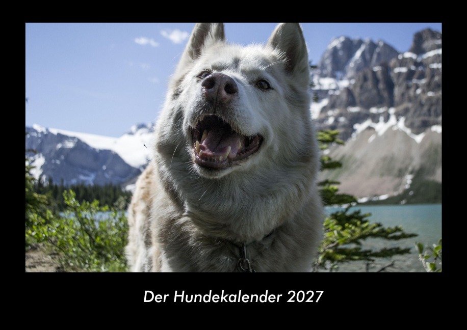 Der Hundekalender 2027 Fotokalender DIN A3 - Tobias Becker
