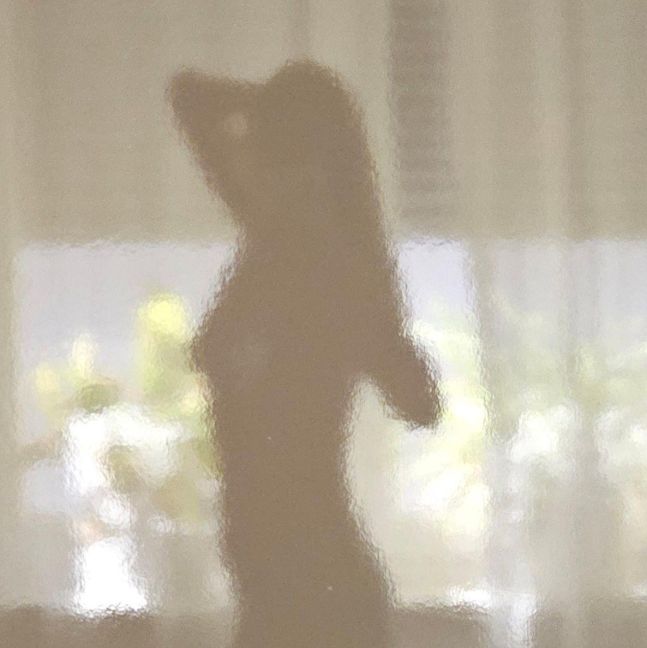 InsideView 1