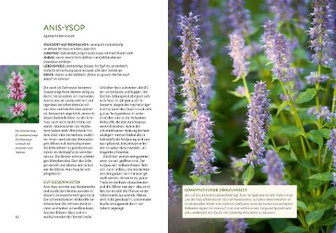 InsideView 6