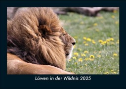 Cover-Bild zum Titel 'Löwen in der Wildnis 2025 Fotokalender DIN A5' von 'Tobias Becker'