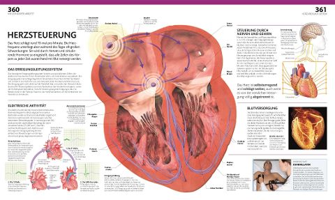 InsideView 5