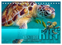 Cover-Bild zum Titel 'Abenteuer Riff - bunte Unterwasserwelt (Tischkalender 2026 DIN A5 quer), CALVENDO Monatskalender' von 'Renate Utz'
