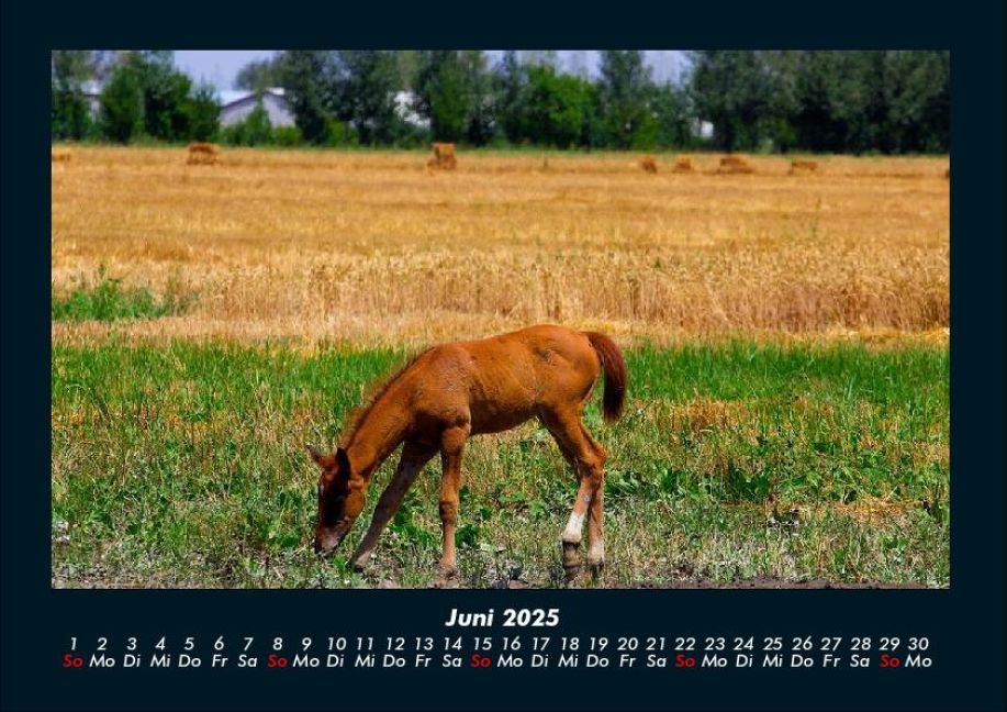 InsideView 10