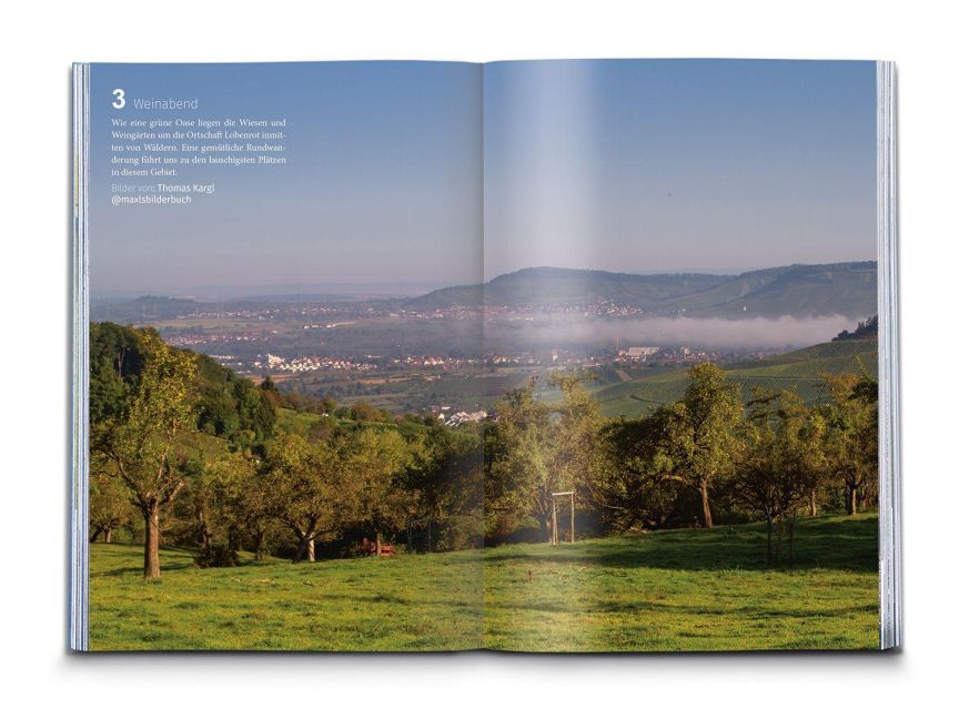 InsideView 6