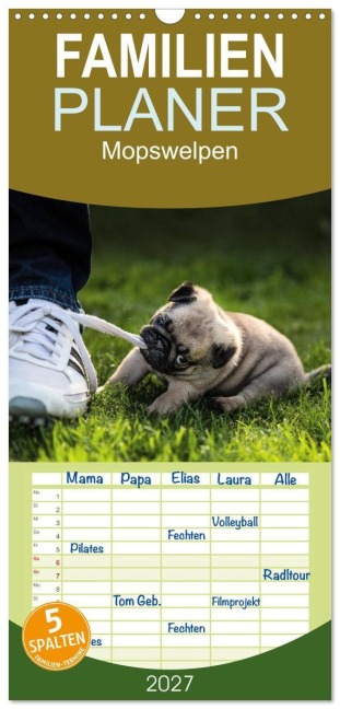 Familienplaner 2027 - Mopswelpen mit 5 Spalten (Wandkalender, 21 x 45 cm) CALVENDO - Ole Dodeck