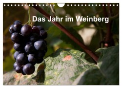 Das Jahr im Weinberg (Wandkalender 2026 DIN A4 quer), CALVENDO Monatskalender - Frank Baumert