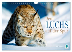 Cover-Bild zum Titel 'Dem Luchs auf der Spur (Wandkalender 2026 DIN A4 quer), CALVENDO Monatskalender' von 'Calvendo Calvendo'