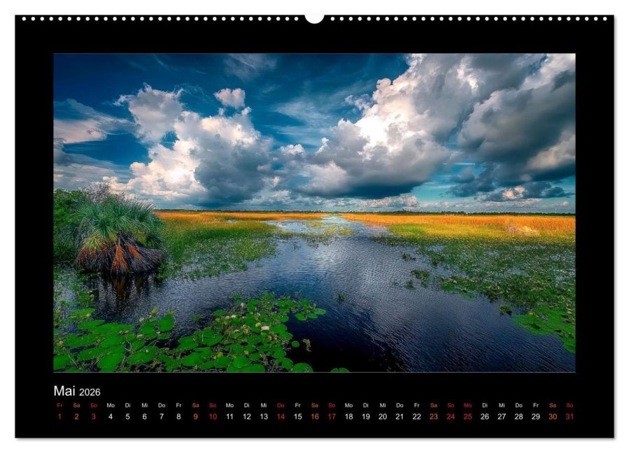 InsideView 10