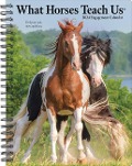 What Horses Teach Us 2024 6.5 X 8.5 Engagement Calendar - Willow Creek Press