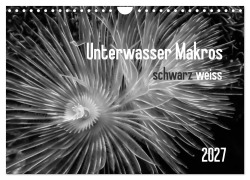 Cover-Bild zum Titel 'Unterwasser Makros - schwarz weiss 2027 (Wandkalender 2027 DIN A4 quer), CALVENDO Monatskalender' von 'Claudia Weber-Gebert'
