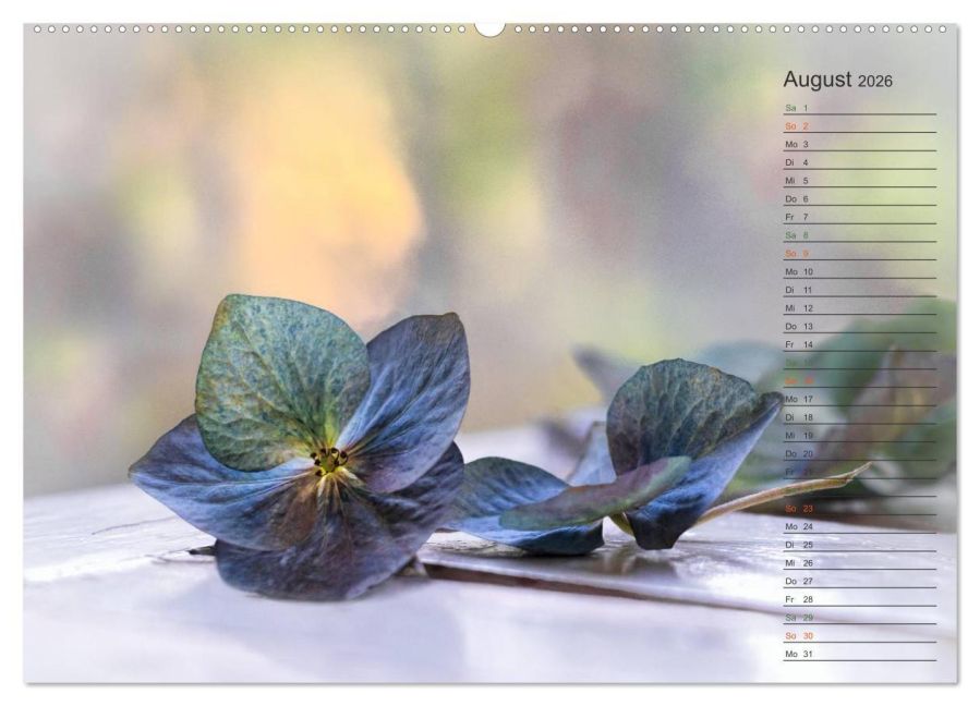 InsideView 12