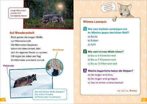 InsideView 3