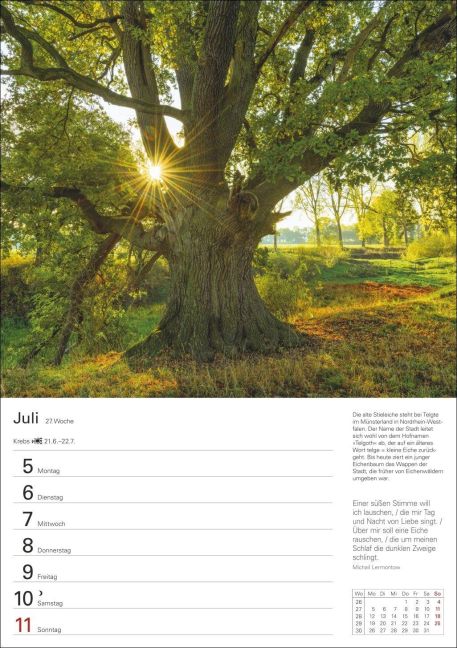 InsideView 8